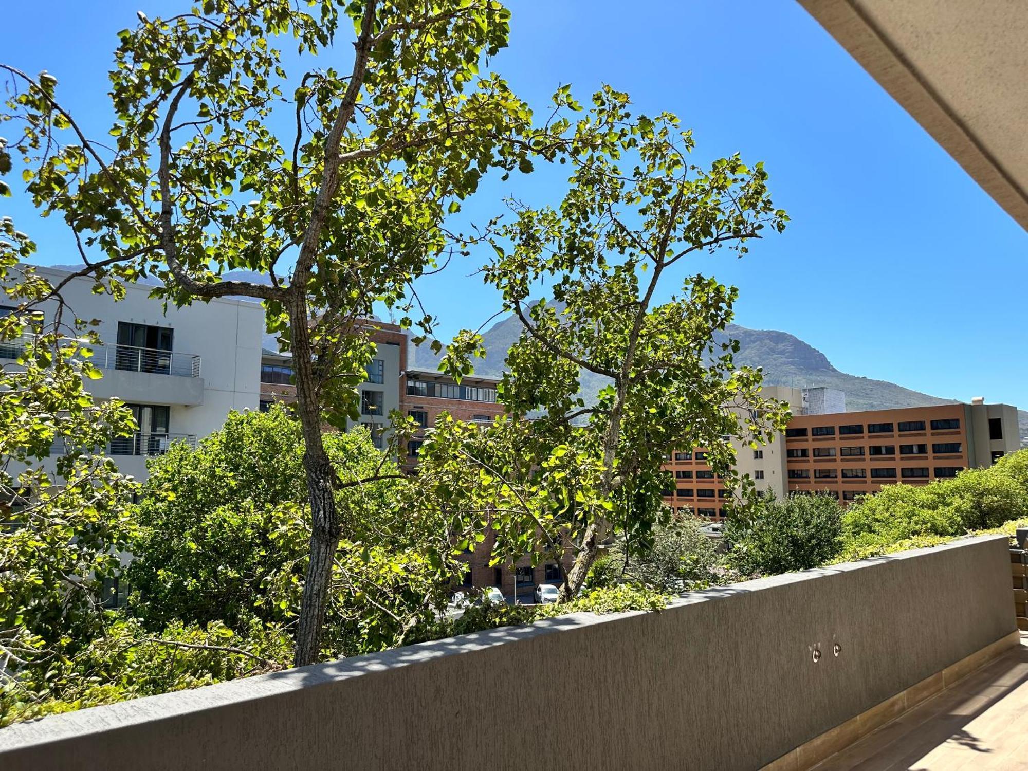 Newlands Peak Apartments Cape Town Eksteriør bilde