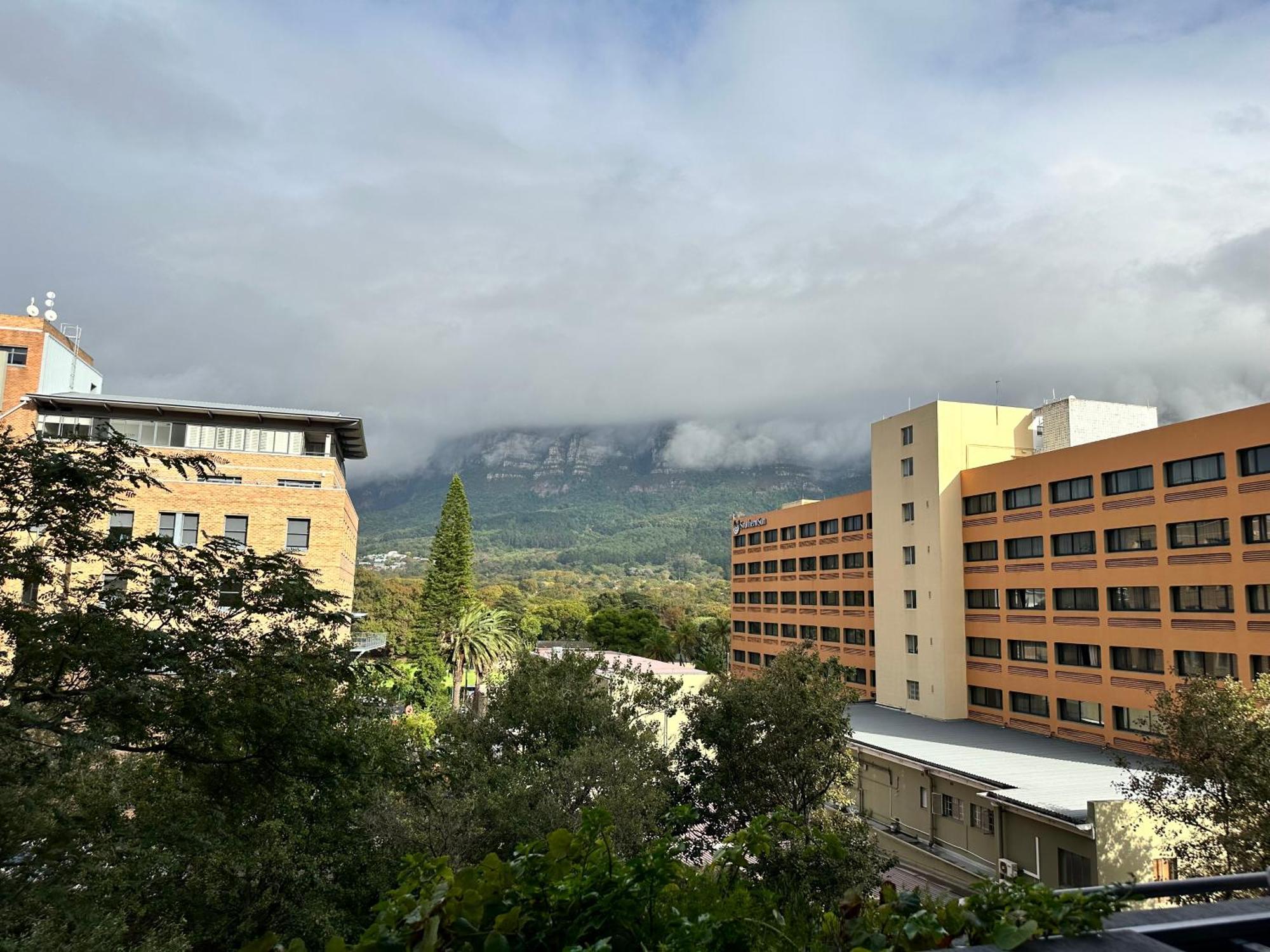 Newlands Peak Apartments Cape Town Eksteriør bilde